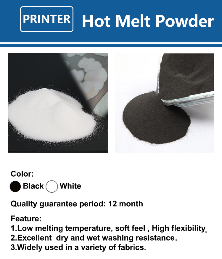 Polvere DTF Fine da 1kg per St - Commercial Fabric Printing Machine recensione e prezzo